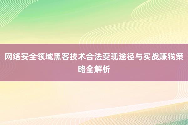 网络安全领域黑客技术合法变现途径与实战赚钱策略全解析
